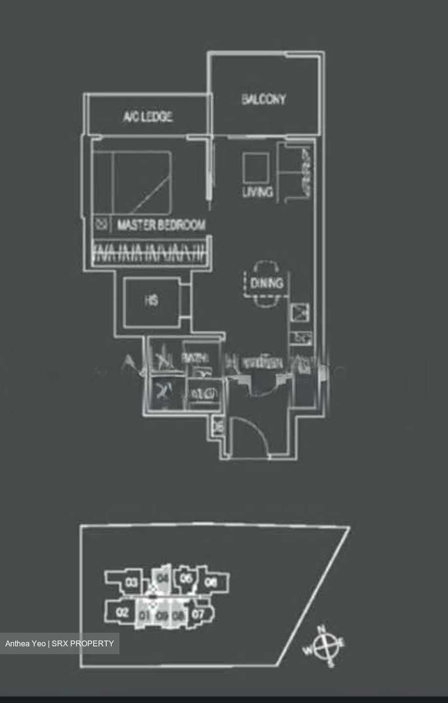26 Newton (D11), Apartment #528733551